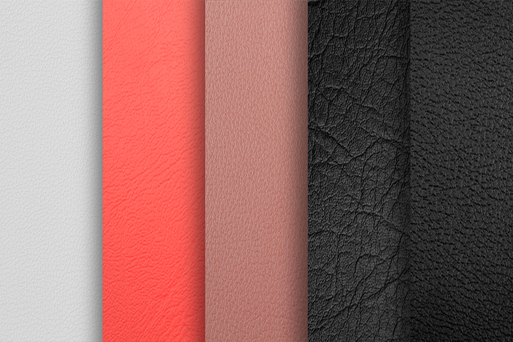 skin samples in a variety of colors
